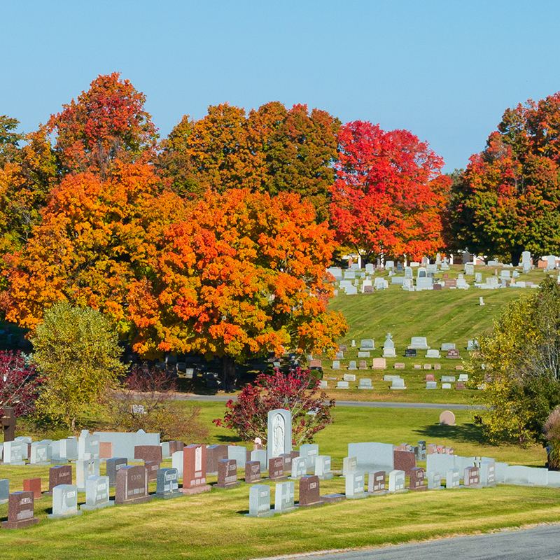 Custom Cross Shaped Monument