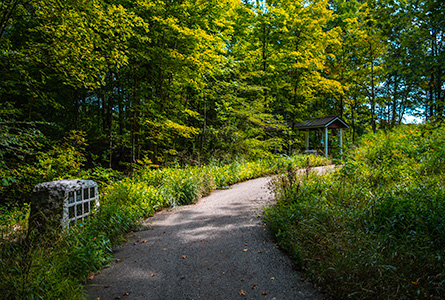 Natural Burial section