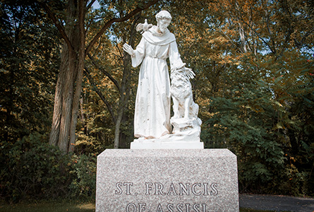 St. Francis statue in the natural burial location